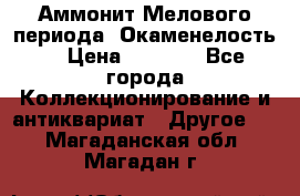 Аммонит Мелового периода. Окаменелость. › Цена ­ 2 800 - Все города Коллекционирование и антиквариат » Другое   . Магаданская обл.,Магадан г.